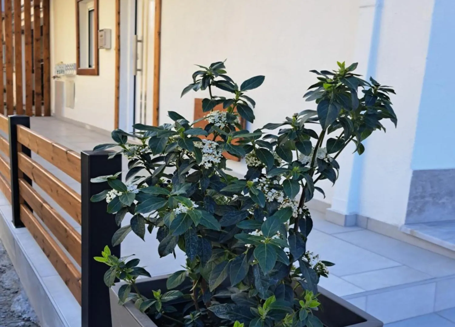 Ithaca Σπίτι Με Αυτόνομη Είσοδο Lejlighed Thessaloníki